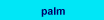 palm